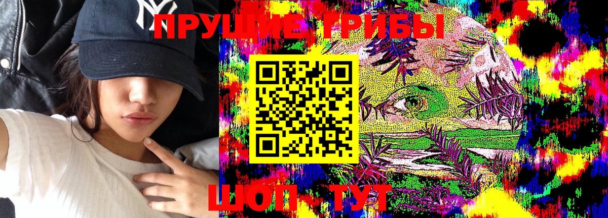 Галлюциногенные грибы Cubensis Зерноград
